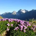 Kohlplatzl Penzion Hopfgarten in Defereggen